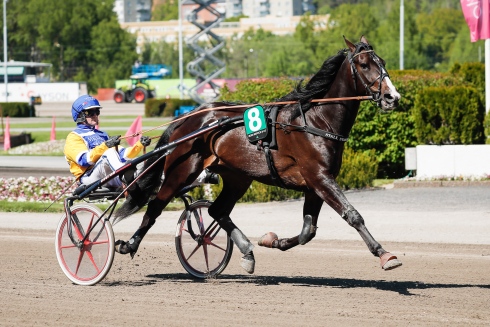 Mellby Jinx har bytt regi från Svante Båth till Daniel Wäjersten. Foto av Lena Emmoth TR Bild